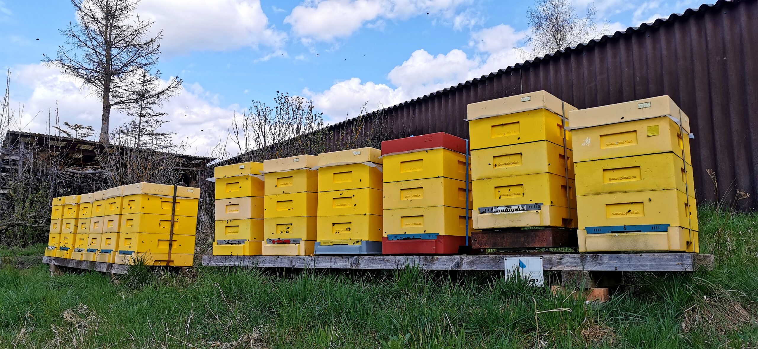 Aufgesetzte Honigräume